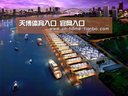 案例展示八