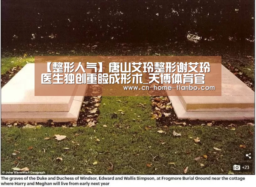 天博体育官网登录入口
